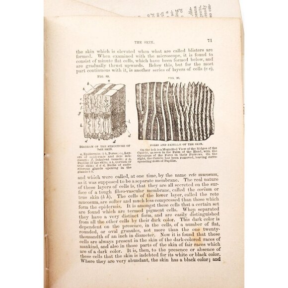 1893 Cottage Physician Victorian Ephemera Lot Of 300 Pcs Medical 1st Aid LGDWB3 - Picture 3 of 9